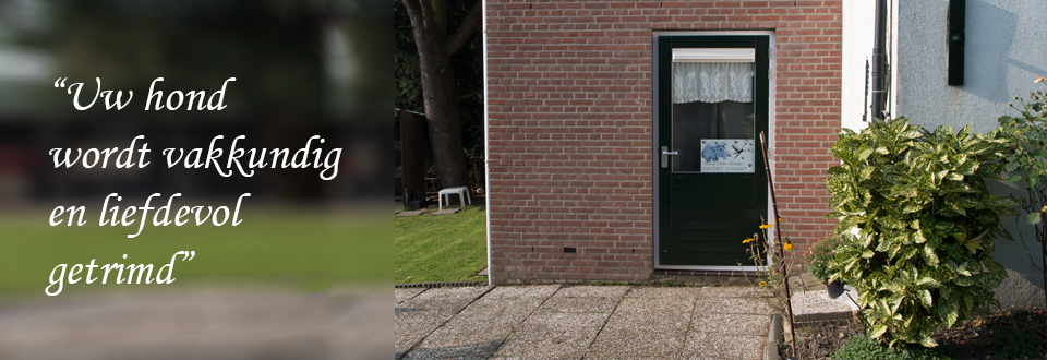 Banner Tuin